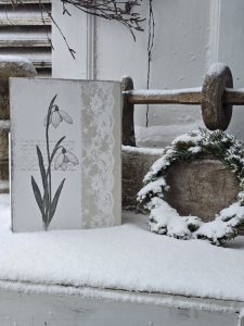 2026-01-09-fruehlingserwachen-s-01