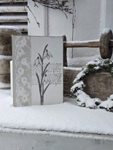 2026-01-09-fruehlingserwachen-s-02