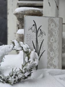 2026-01-09-fruehlingserwachen-s-03