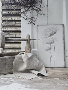 2026-04-01-pusteblume-graeser-s-01