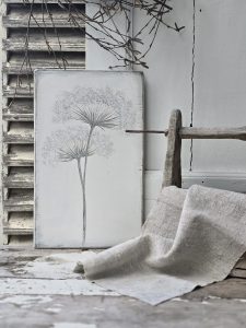 2026-04-01-pusteblume-graeser-s-02