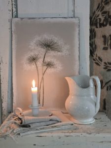 2026-04-01-pusteblume-graeser-s-08