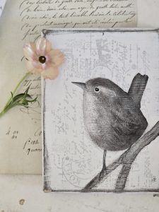 2026-04-08-vogel-s-05