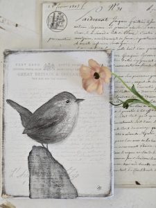 2026-04-08-vogel-s-06